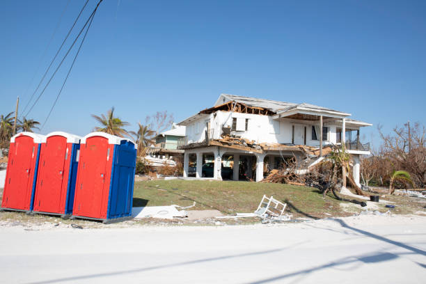 Best Tree Risk Assessment  in Edgewood, IN